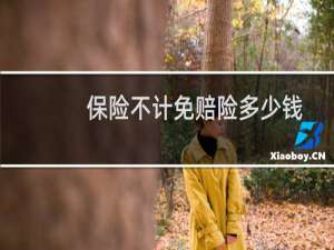 保险不计免赔险多少钱