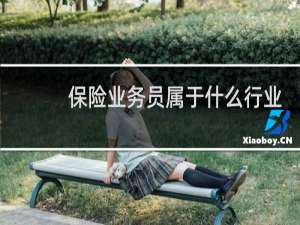保险业务员属于什么行业
