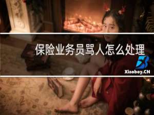 保险业务员骂人怎么处理