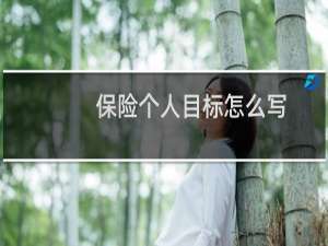 保险个人目标怎么写