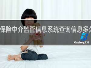 保险中介监管信息系统查询信息多久更新