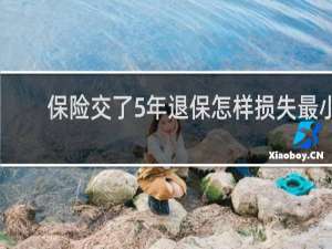 保险交了5年退保怎样损失最小