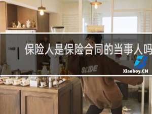 保险人是保险合同的当事人吗