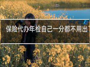 保险代办年检自己一分都不用出了吗