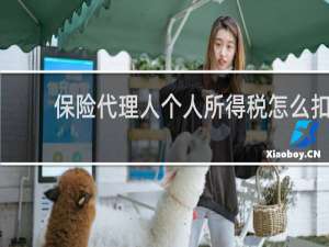 保险代理人个人所得税怎么扣