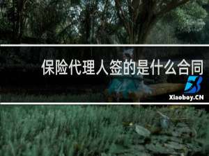 保险代理人签的是什么合同