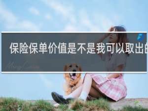 保险保单价值是不是我可以取出的钱