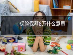 保险保额8万什么意思