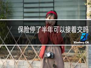 保险停了半年可以接着交吗