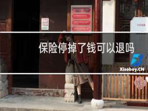 保险停掉了钱可以退吗