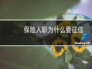 保险入职为什么要征信
