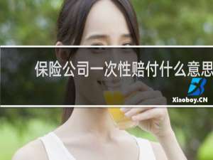 保险公司一次性赔付什么意思