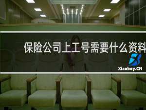 保险公司上工号需要什么资料