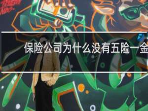 保险公司为什么没有五险一金