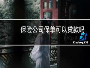 保险公司保单可以贷款吗