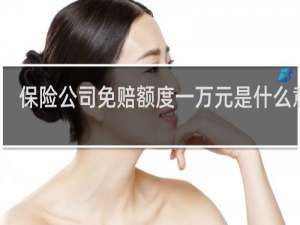 保险公司免赔额度一万元是什么意思