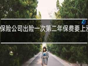 保险公司出险一次第二年保费要上涨多少