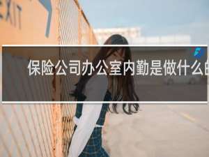 保险公司办公室内勤是做什么的