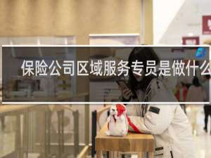 保险公司区域服务专员是做什么的