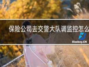 保险公司去交警大队调监控怎么调