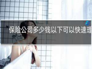保险公司多少钱以下可以快速理赔