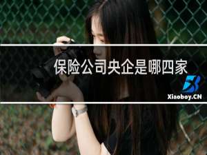 保险公司央企是哪四家