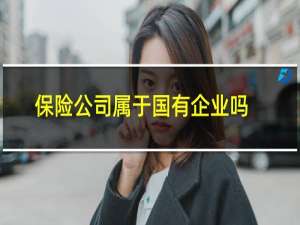 保险公司属于国有企业吗