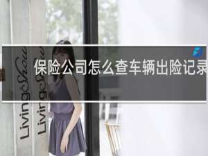 保险公司怎么查车辆出险记录