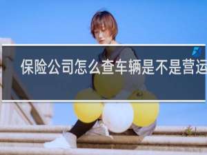 保险公司怎么查车辆是不是营运的