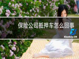 保险公司抵押车怎么回事