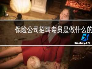 保险公司招聘专员是做什么的