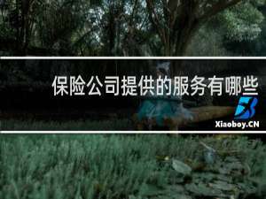 保险公司提供的服务有哪些