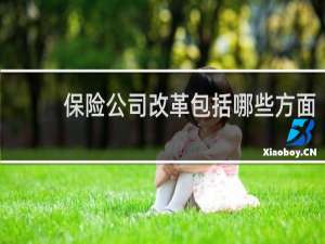 保险公司改革包括哪些方面