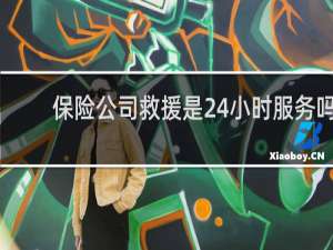 保险公司救援是24小时服务吗