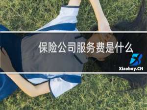 保险公司服务费是什么