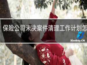 保险公司未决案件清理工作计划怎么写