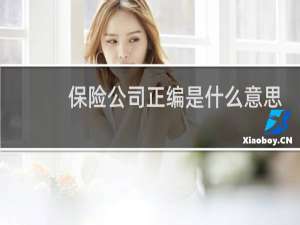 保险公司正编是什么意思
