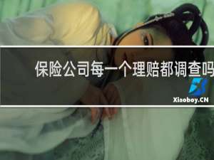 保险公司每一个理赔都调查吗