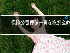 保险公司理赔一直在拖怎么办