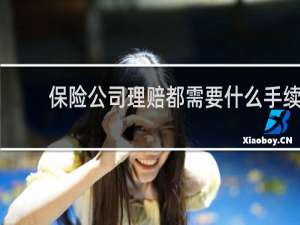 保险公司理赔都需要什么手续