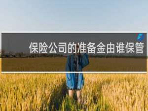 保险公司的准备金由谁保管