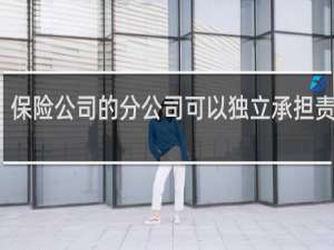 保险公司的分公司可以独立承担责任吗