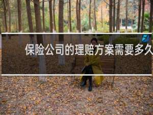 保险公司的理赔方案需要多久