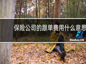 保险公司的跟单费用什么意思