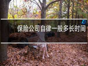 保险公司自律一般多长时间