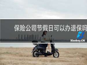 保险公司节假日可以办退保吗