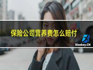 保险公司营养费怎么赔付