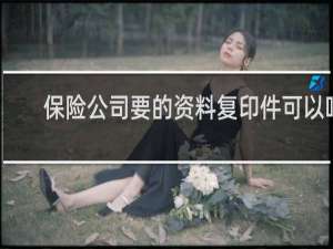保险公司要的资料复印件可以吗