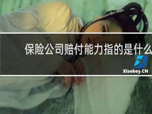 保险公司赔付能力指的是什么
