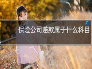 保险公司赔款属于什么科目